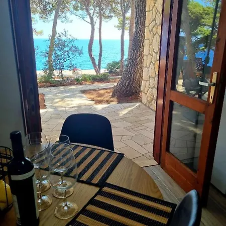 Appartement Zlatan *